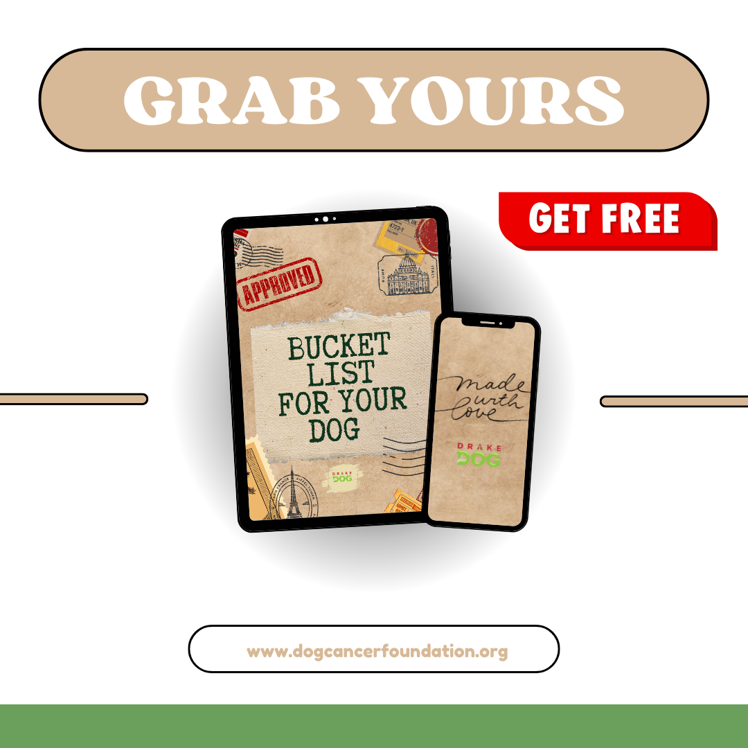 get your free bucket list for dogs with cancer