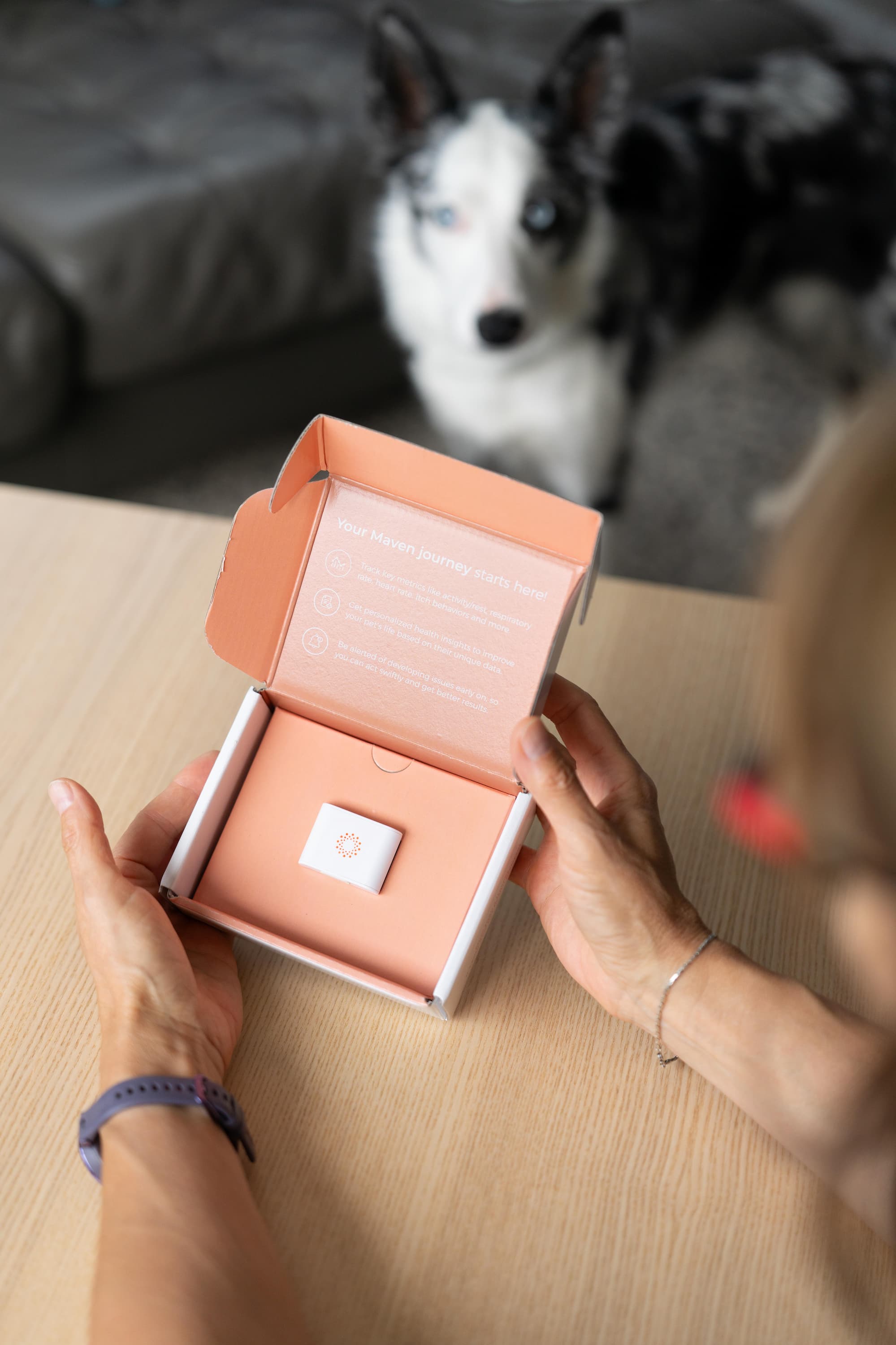 The Maven Pet box with the sensor inside
