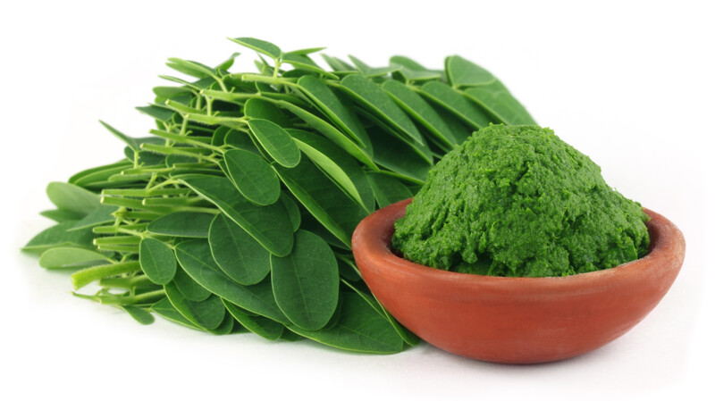 moringa powder leaves