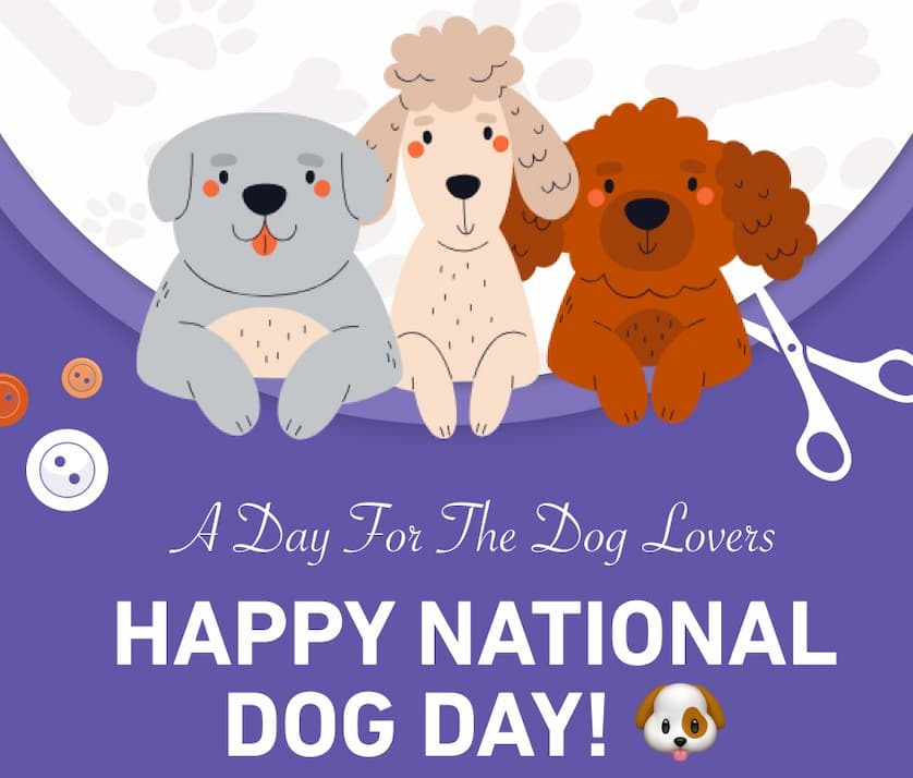Happy National Dog Day! 🐶