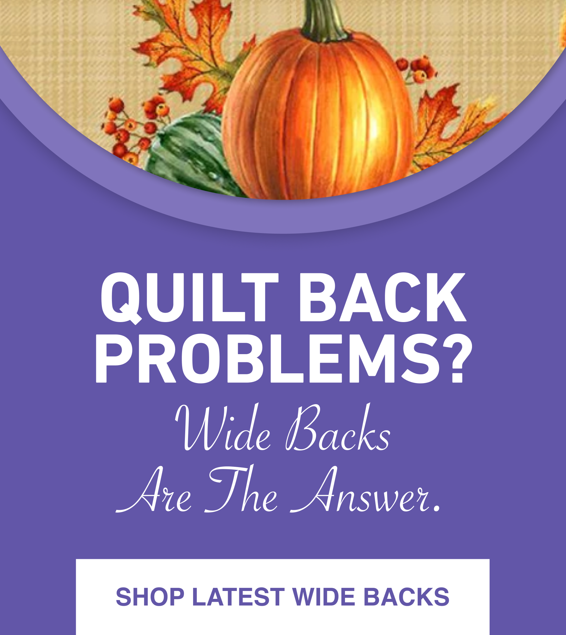 Quilt back problems? Wide backs are the answer.