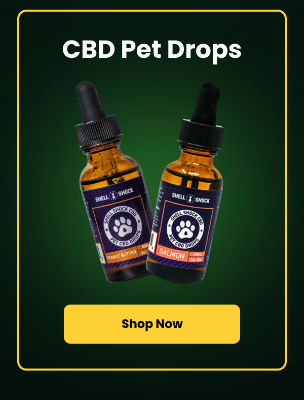 Silent nights, happy customers