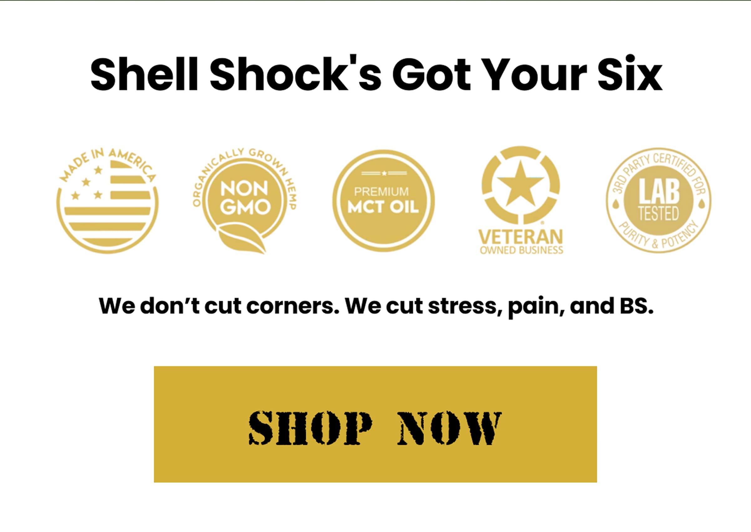 Shell Shock's Got Your Six | Shop Now