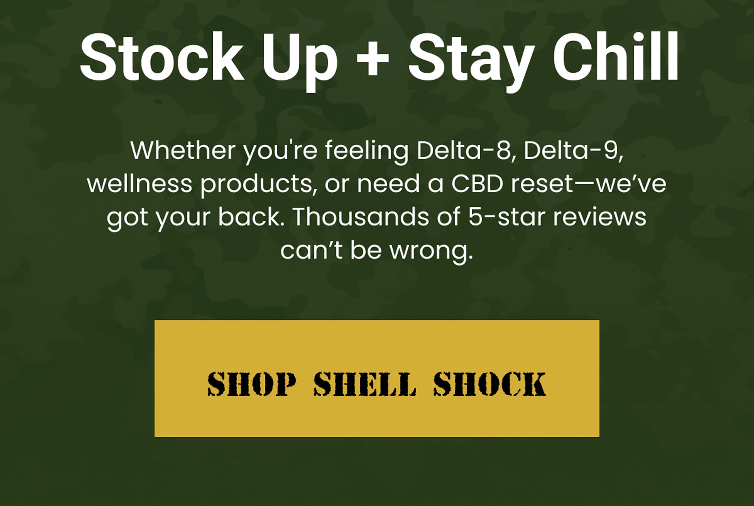 Stock Up + Stay Chill | Shop Shell Shock