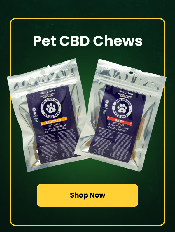 Silent nights, happy customers