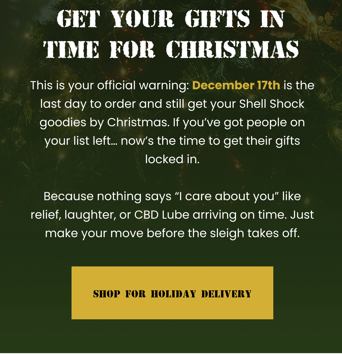 Get Your Gifts In Time For Christmas | December 17th is the last day to order | Shop For Holiday Delivery