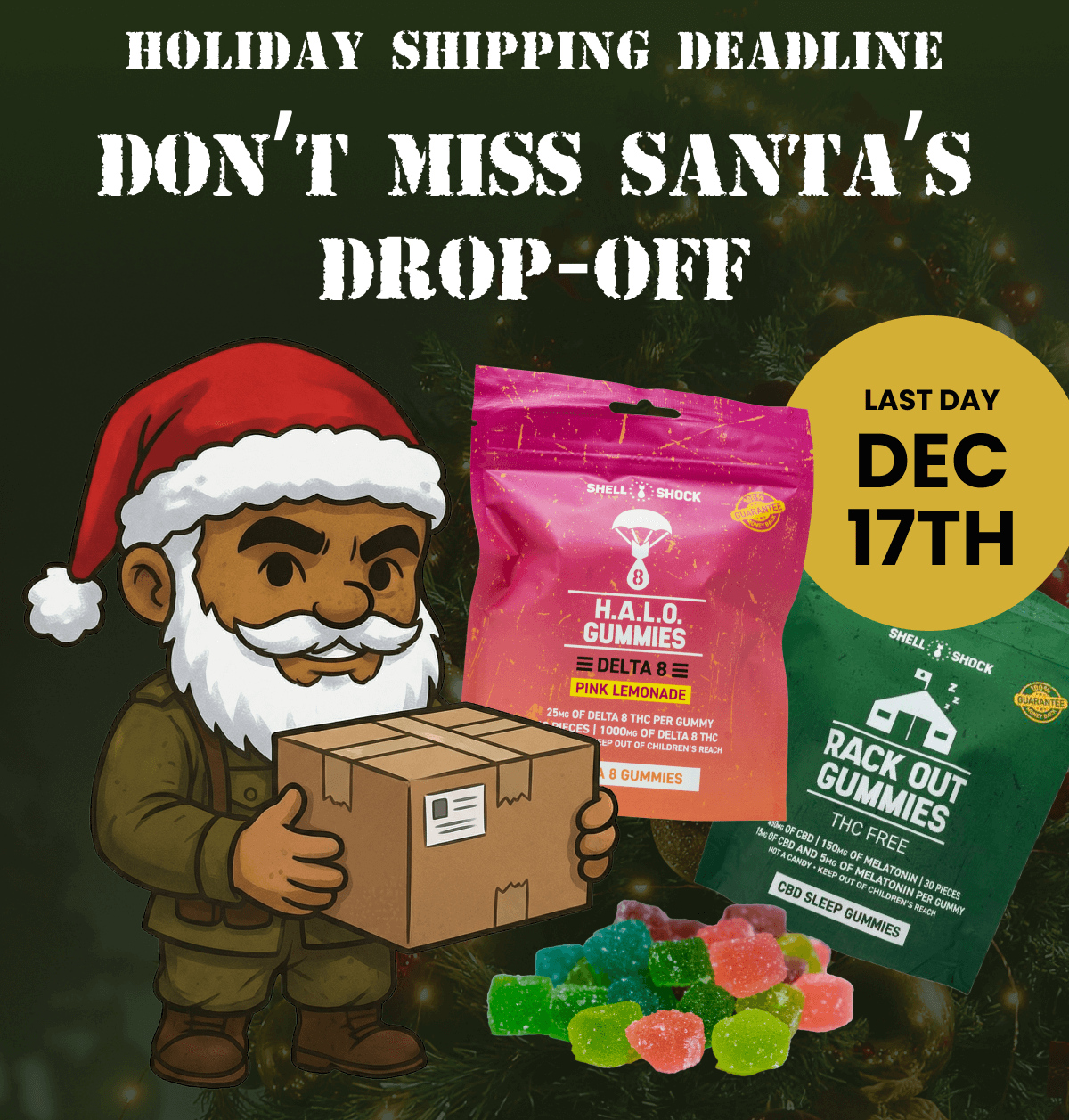 Holiday Shipping Deadline | Don't Miss Santa's Drop-Off | Last Day: Dec 17th