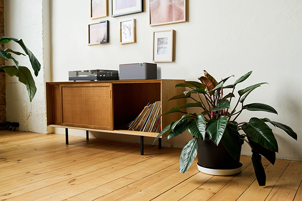 Premium Bluetooth Speakers
