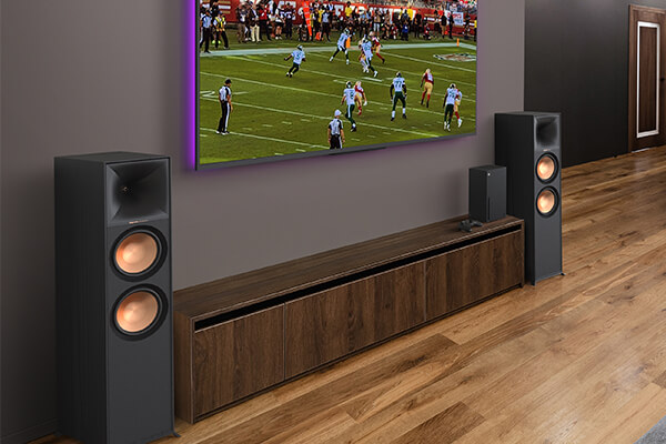 BOOKSHELF SPEAKERS