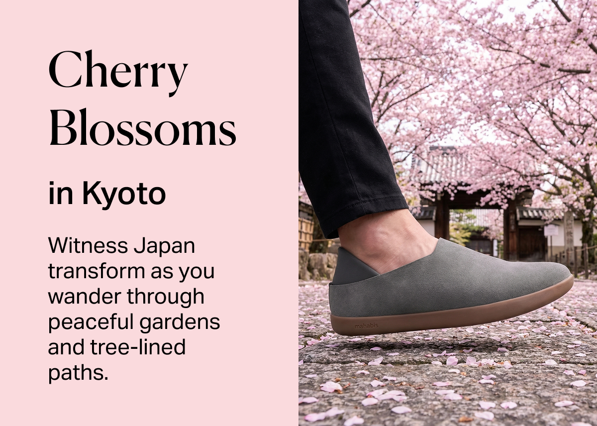 Cherry Blossoms in Kiyoto