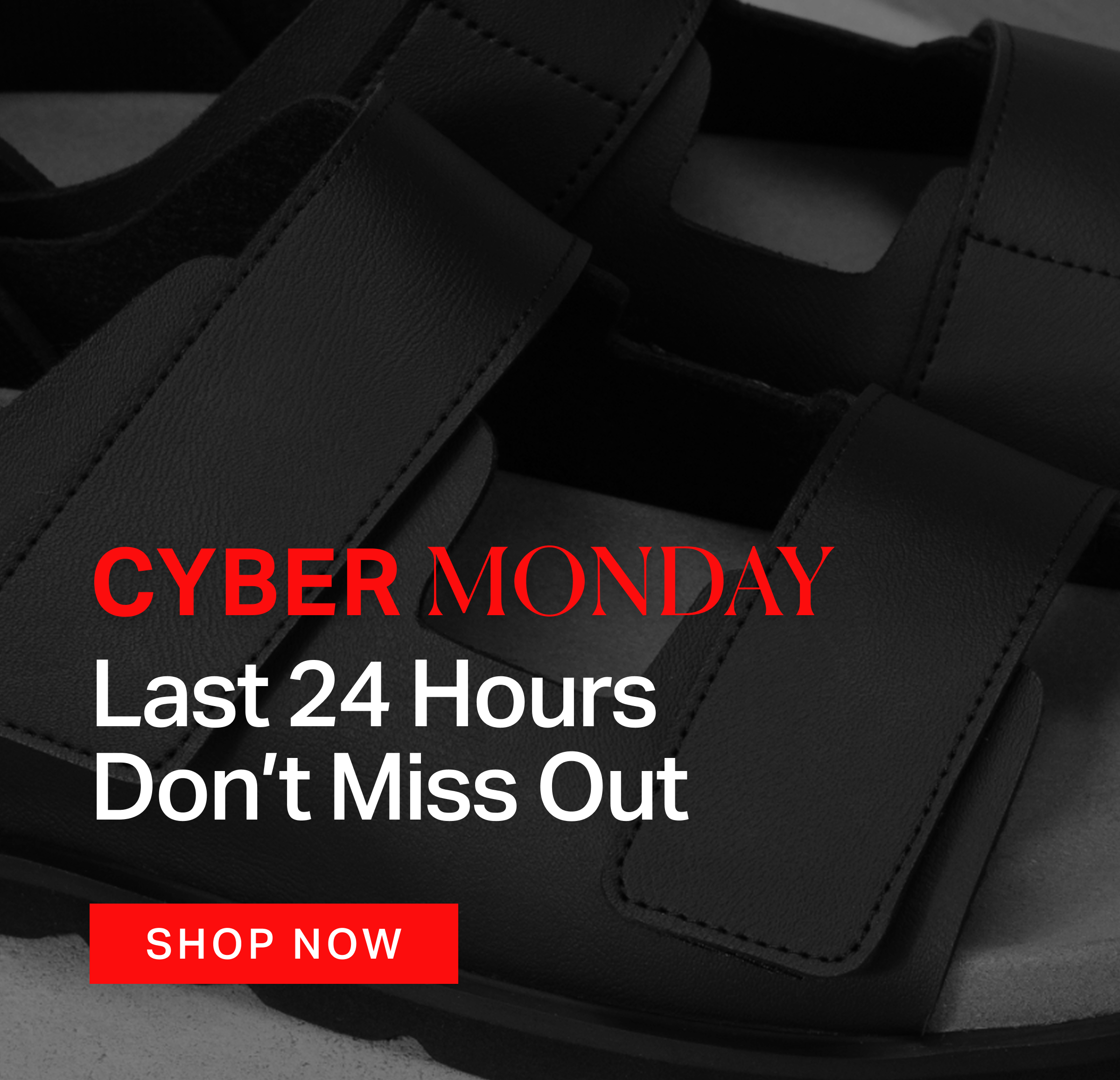 Cyber Monday: Last 24 Hours, Don't Miss Out
