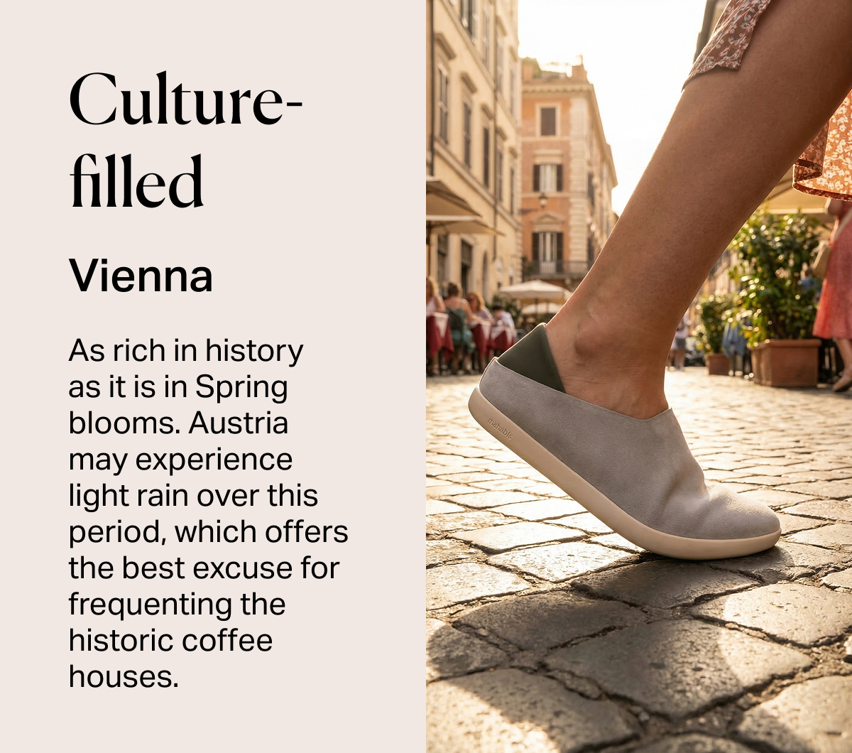Culture-filled Vienna