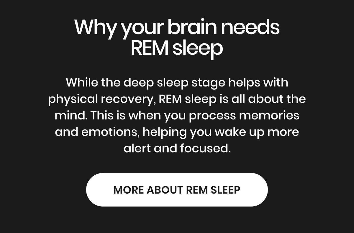 More about REM sleep