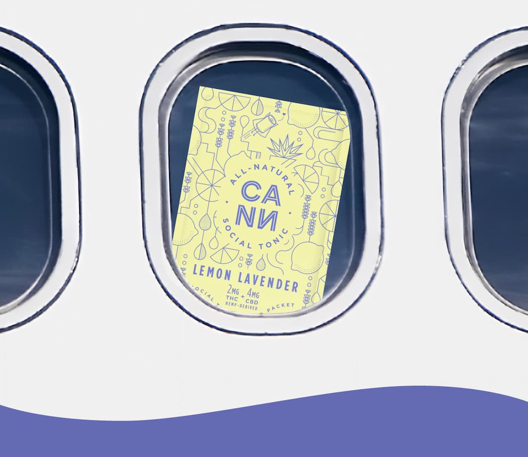 Roadie looking out the window