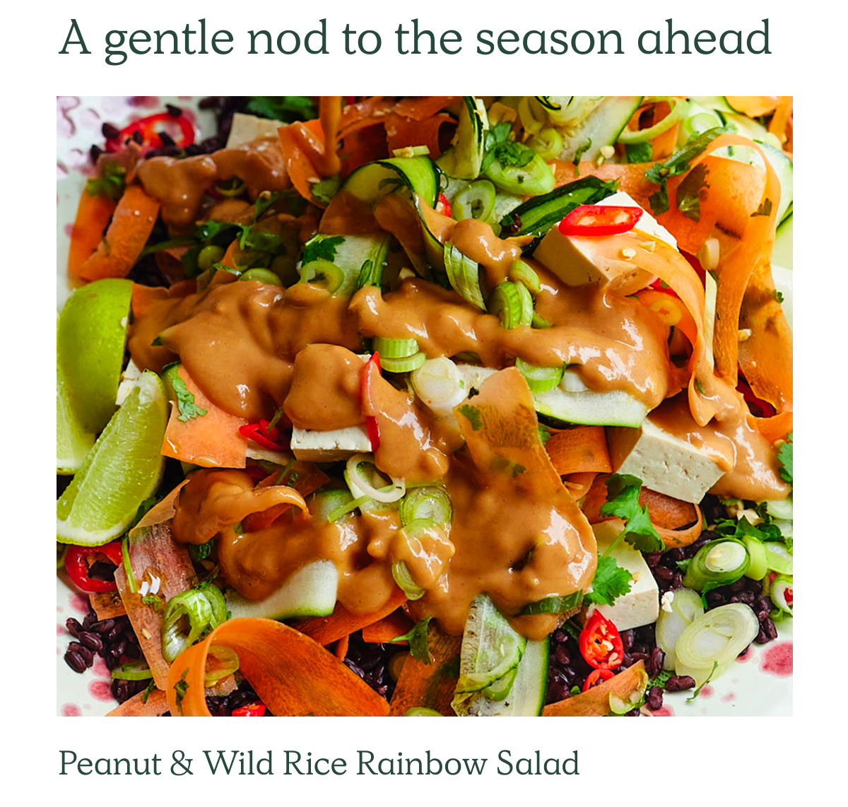 A gentle nod to the season ahead. Peanut & Wild Rice Rainbow Salad