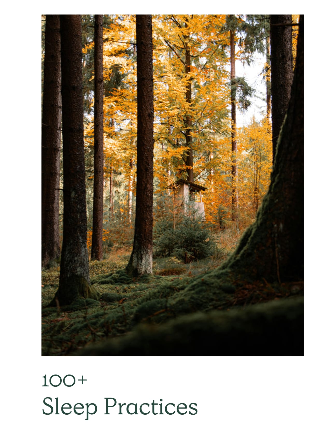 100+  Sleep Practices