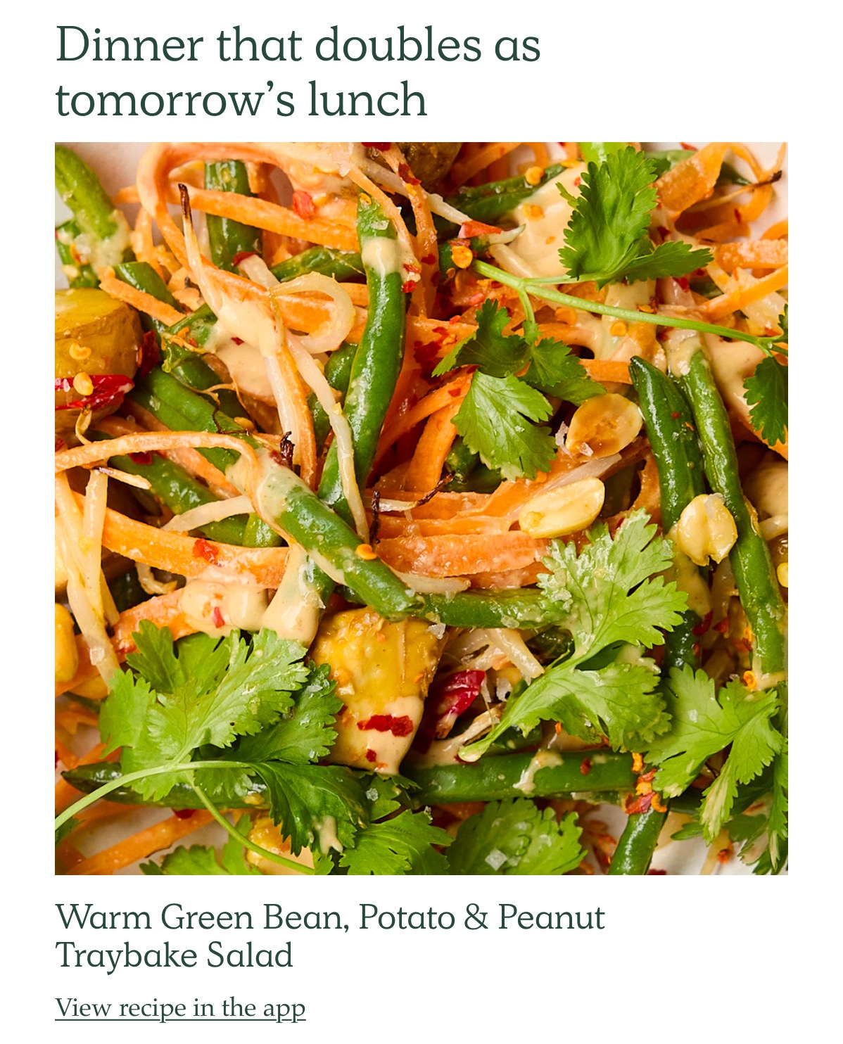 Dinner that doubles as tomorrow's lunch. Image of Warm Green Bean, Potato & Peanut Traybake Salad. view recipe in app.