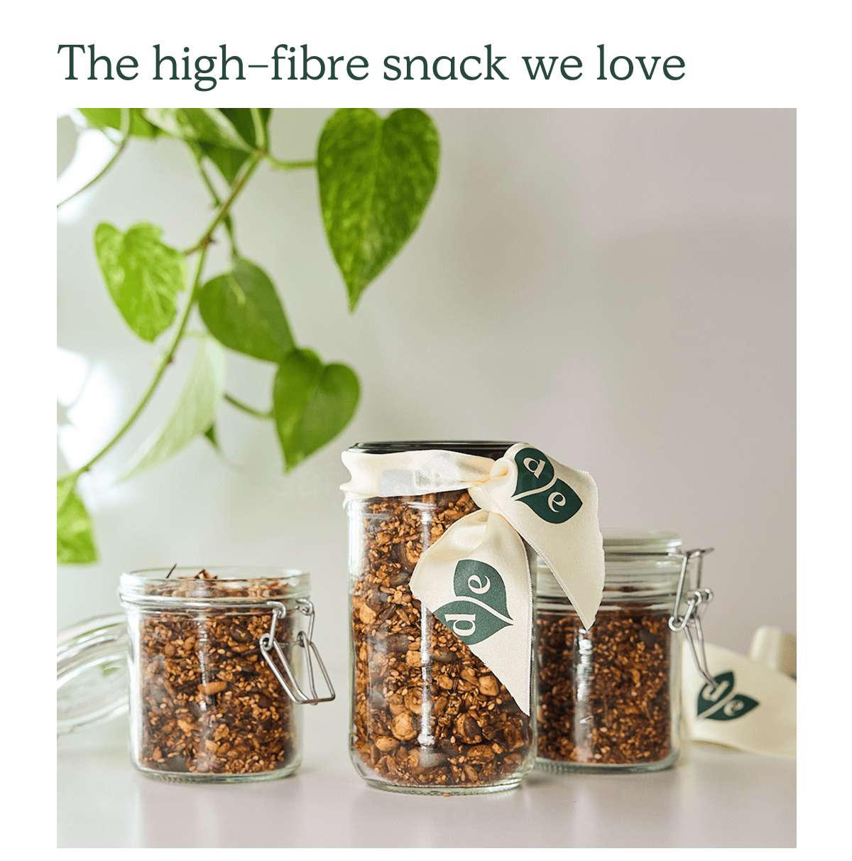 The high-fibre snack we love 