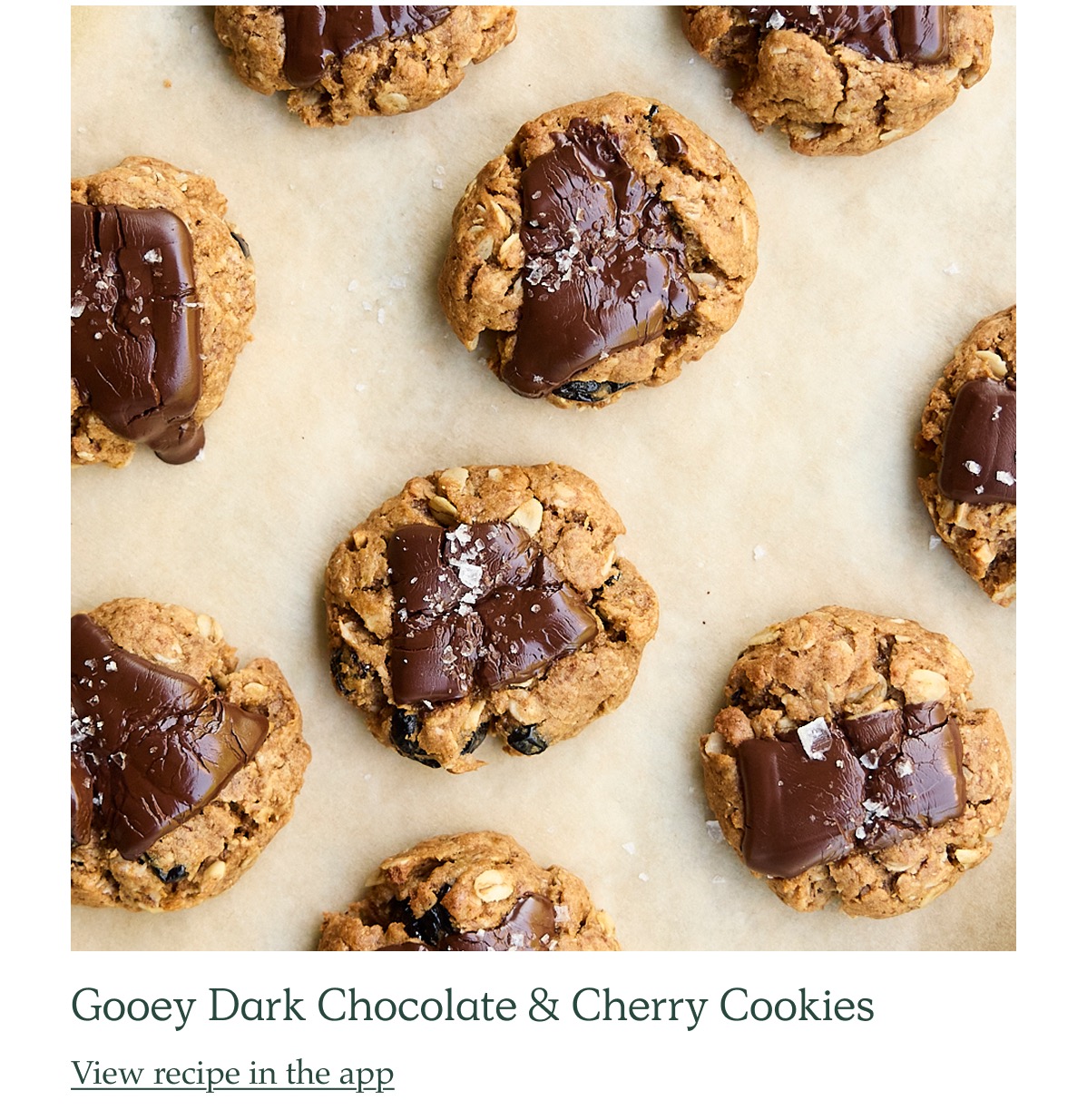Image of Gooey Dark Chocolate & Cherry Cookies