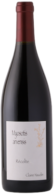 Domaine Naudin-Ferrand (Claire Naudin) Hautes-Cotes de Nuits 'Myosotis Arvensis' Rouge 2023