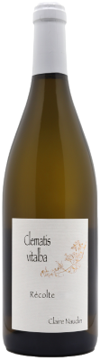 Domaine Naudin-Ferrand (Claire Naudin) Hautes-Cotes de Nuits 'Clematis Vitalba' Blanc 2023