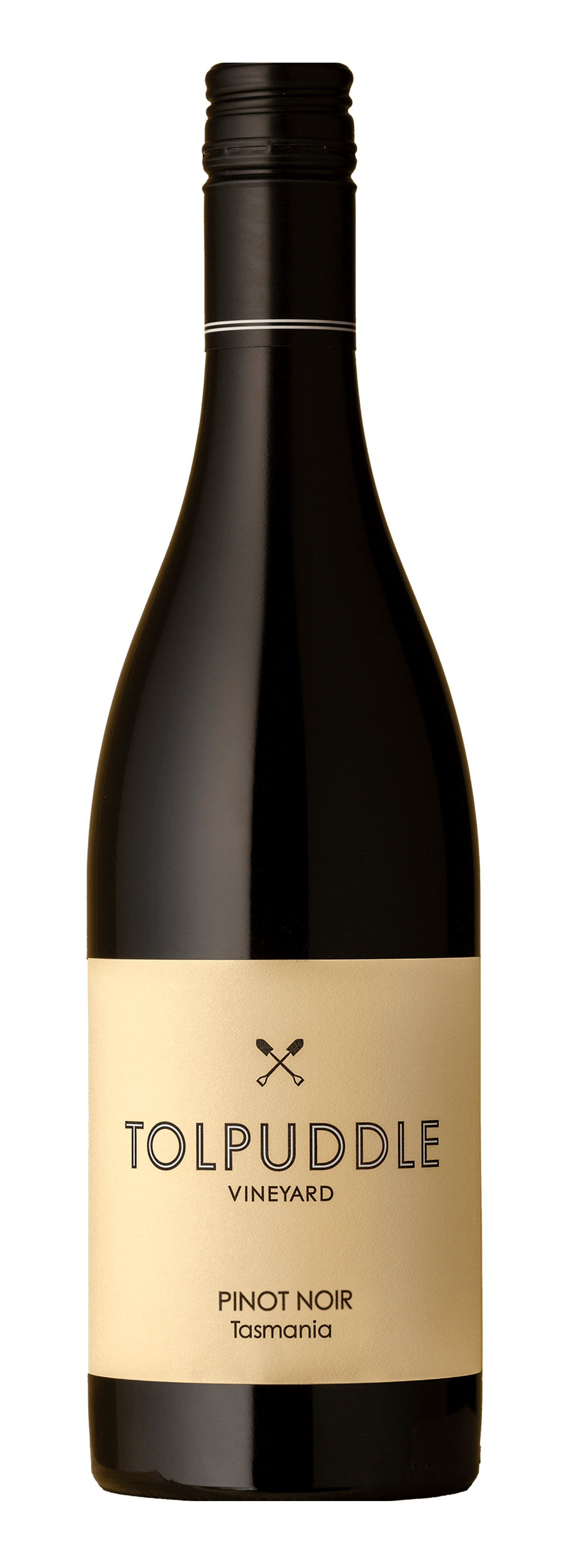 2024 TOLPUDDLE PINOT NOIR