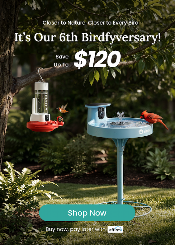 Birdfy logo