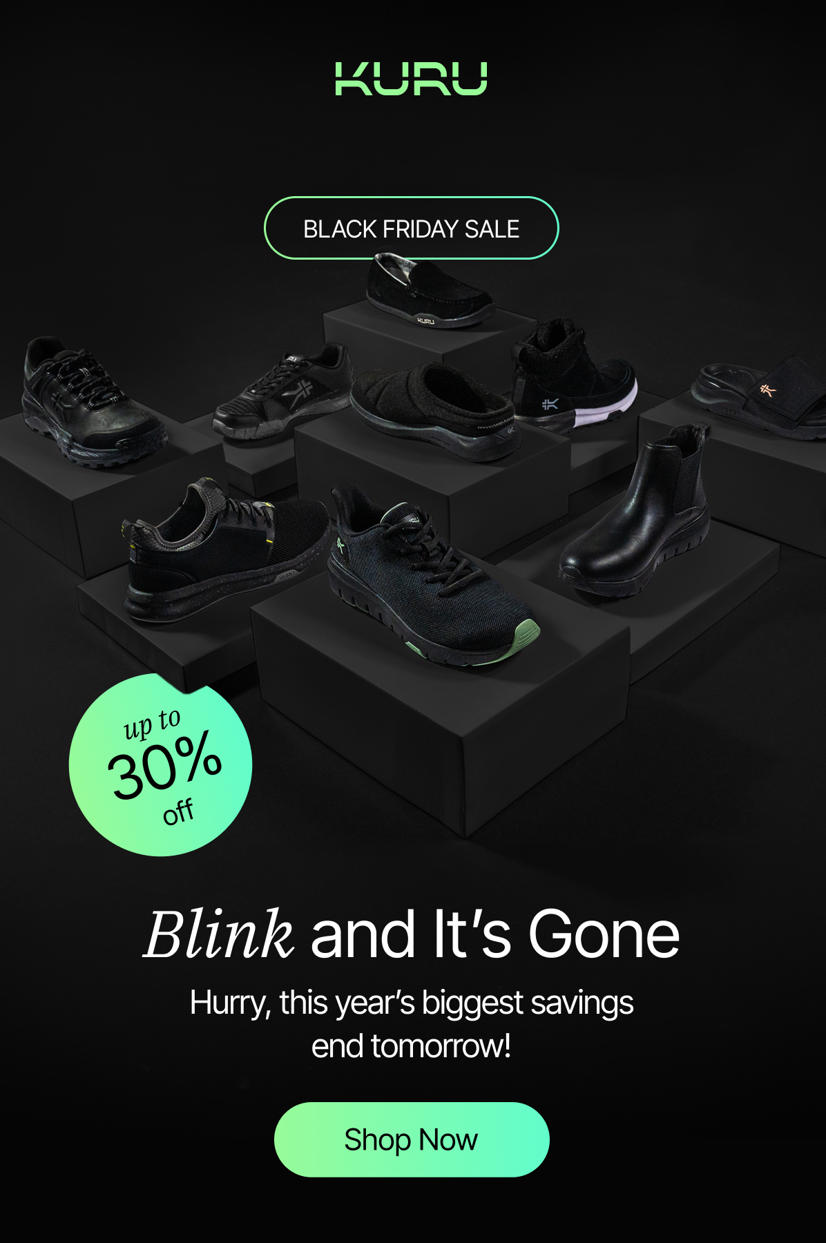 Black Friday, 30% off