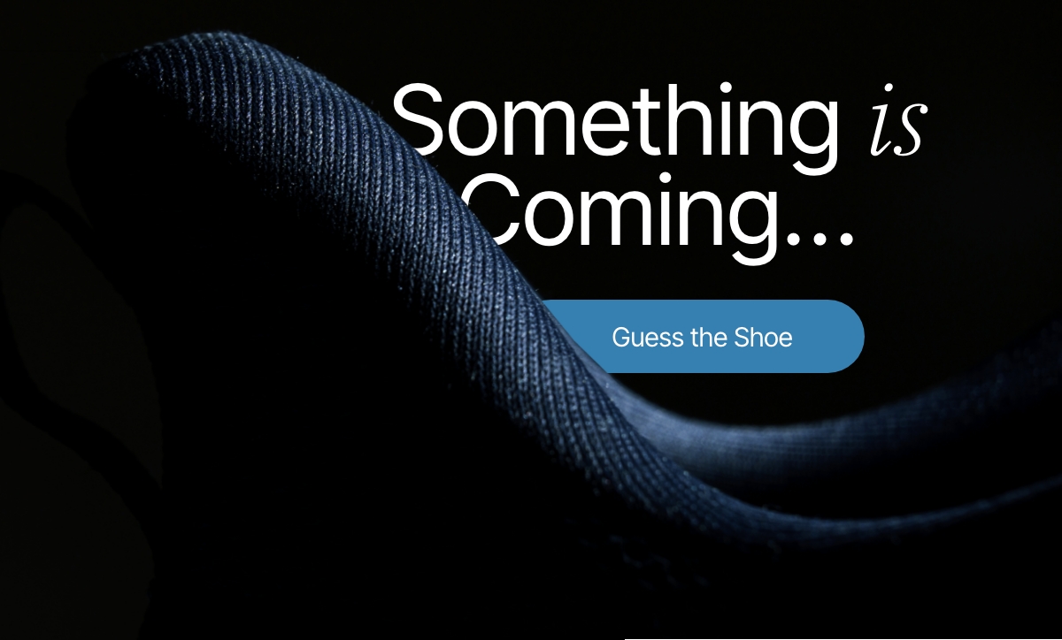 Guess the shoe