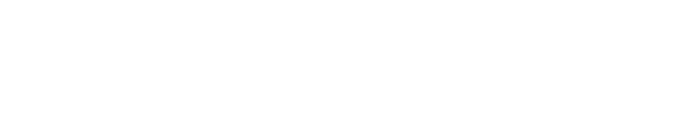 Netlingerie