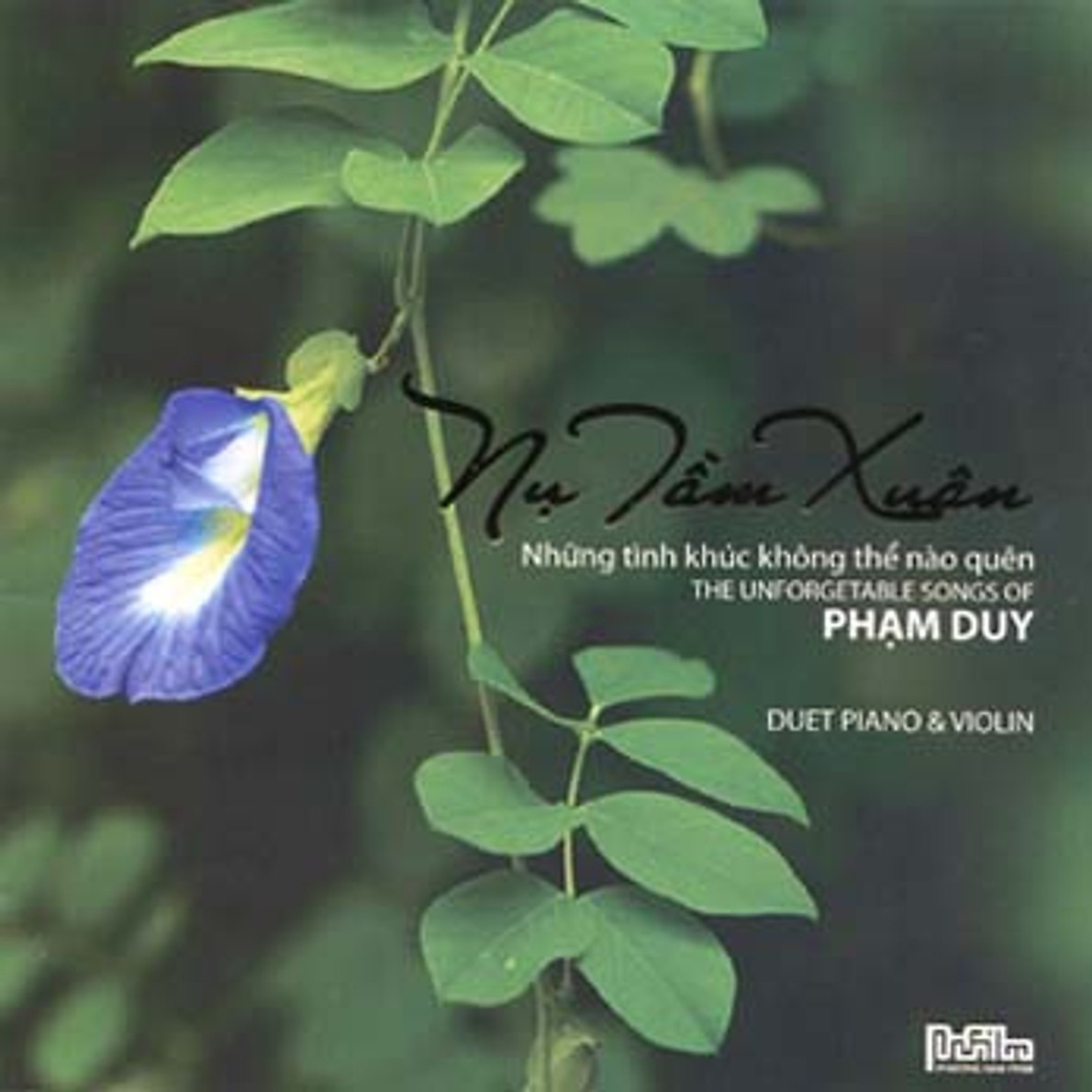 Nhạc Phạm Duy: Nụ Tầm Xuân - Duet Piano & Violin (CD)