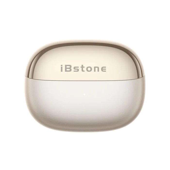 Charging Case for auralink, product photo from iBstone