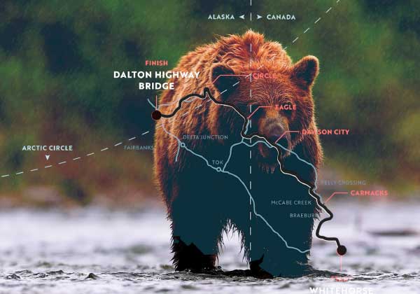 Wild Bear and Map