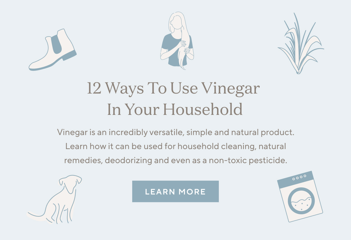 Here's How To Sanitize Safety Branch Basics