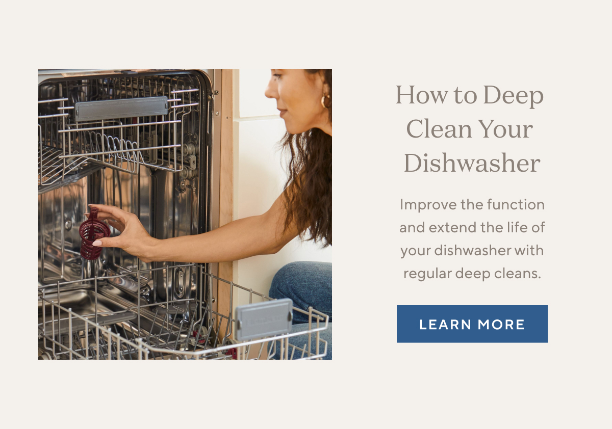 Why NonToxic Dishwashing? Branch Basics