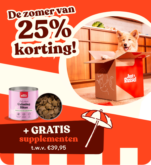 De zomer van 25% korting. Een hond is aan het spelen en kruipt in een Just Russel doos. Tekst: Gratis Calming Bites supplementen t.w.v. €39,95 + 25% korting.
