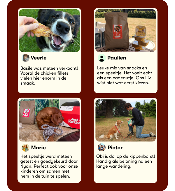 4 reviews van klanten over onze best verkopende producten.