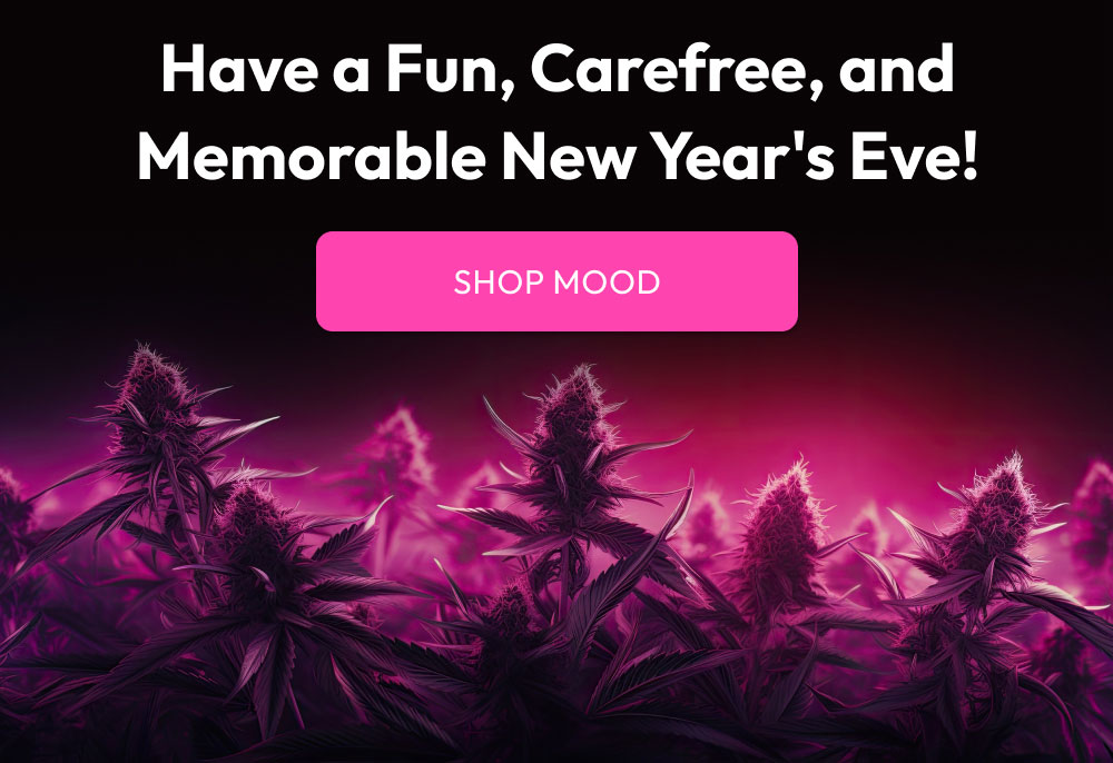 Have a fun, carefree, and memorable new year's eve!