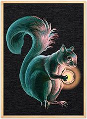 Squirrel
