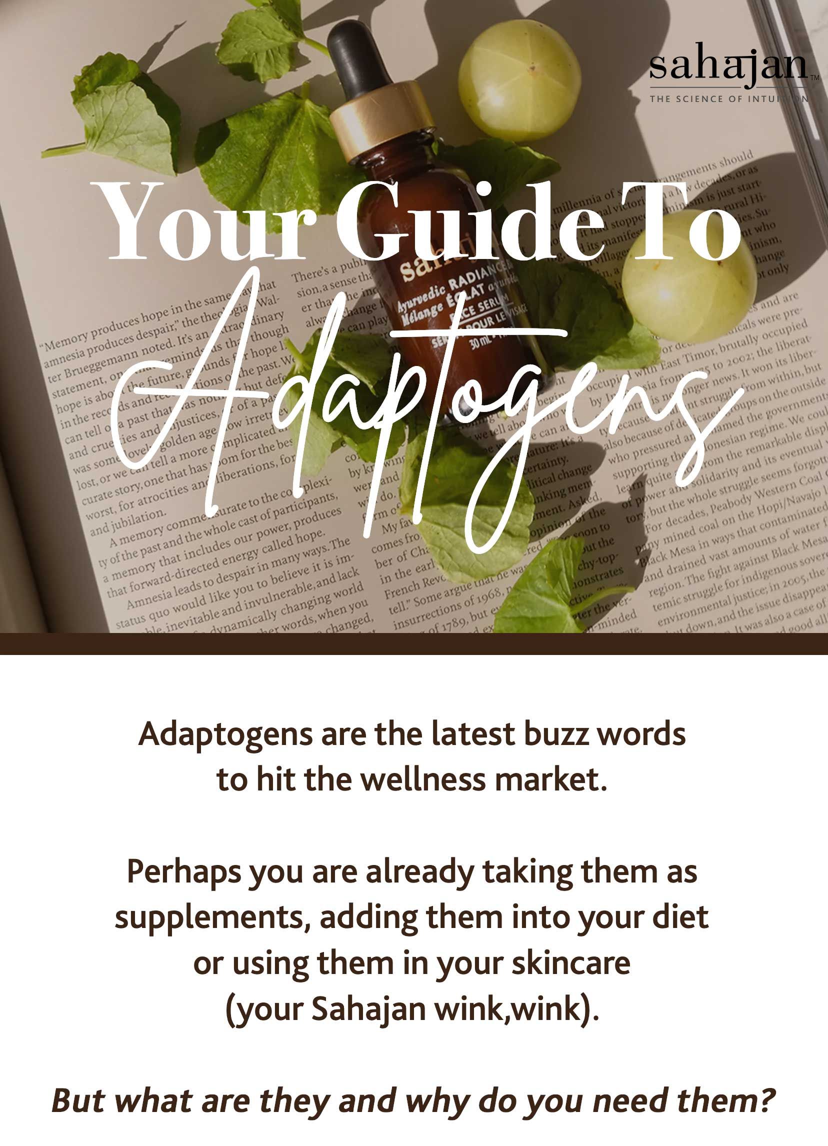 Your Guide To Adaptogens Sahajan
