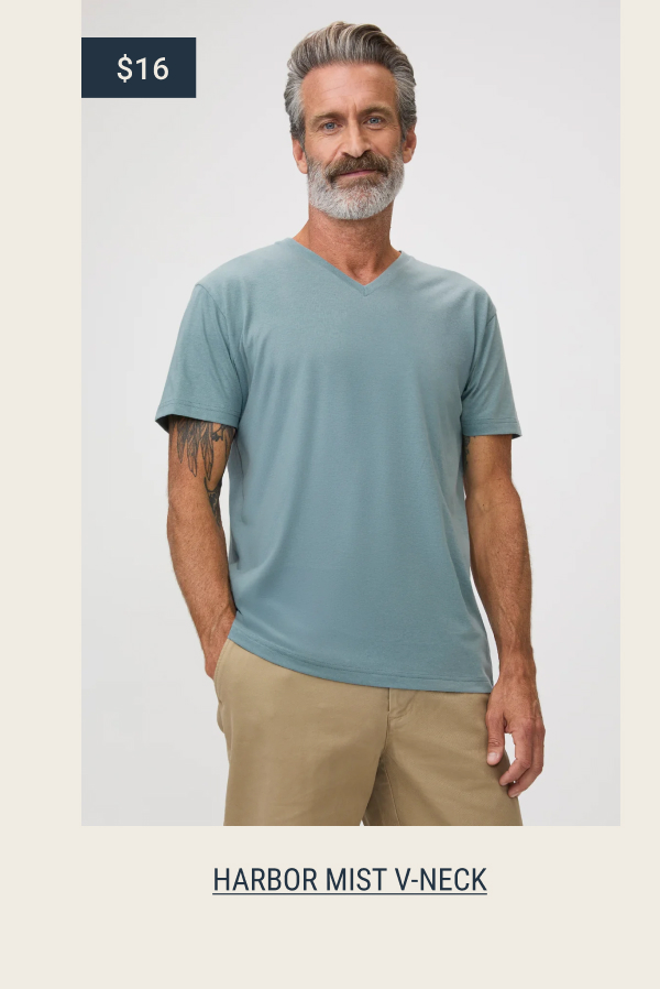 Harbor mist v-neck