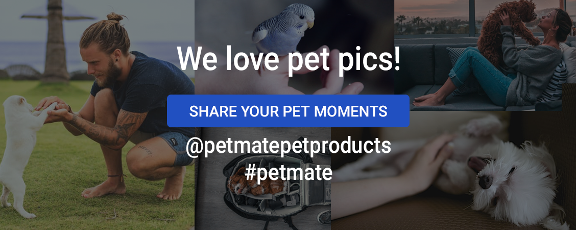 Petmate on Instagram