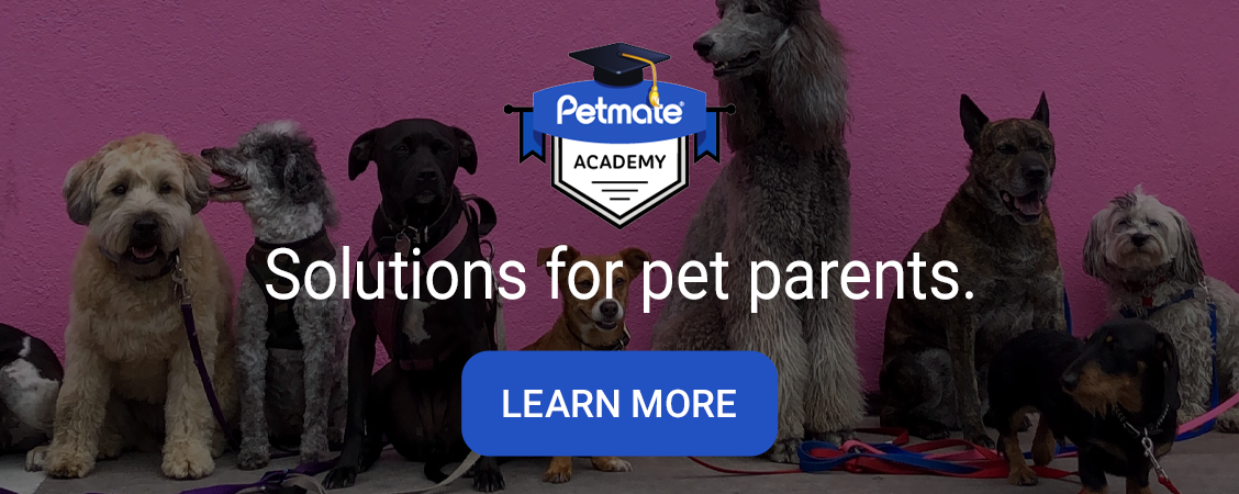 Petmate Academy