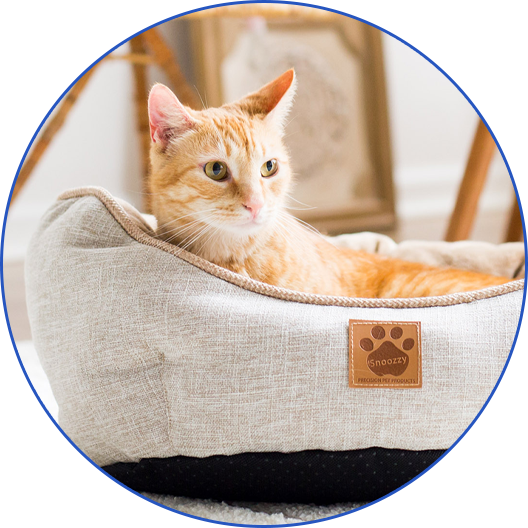 Shop Cat Beds