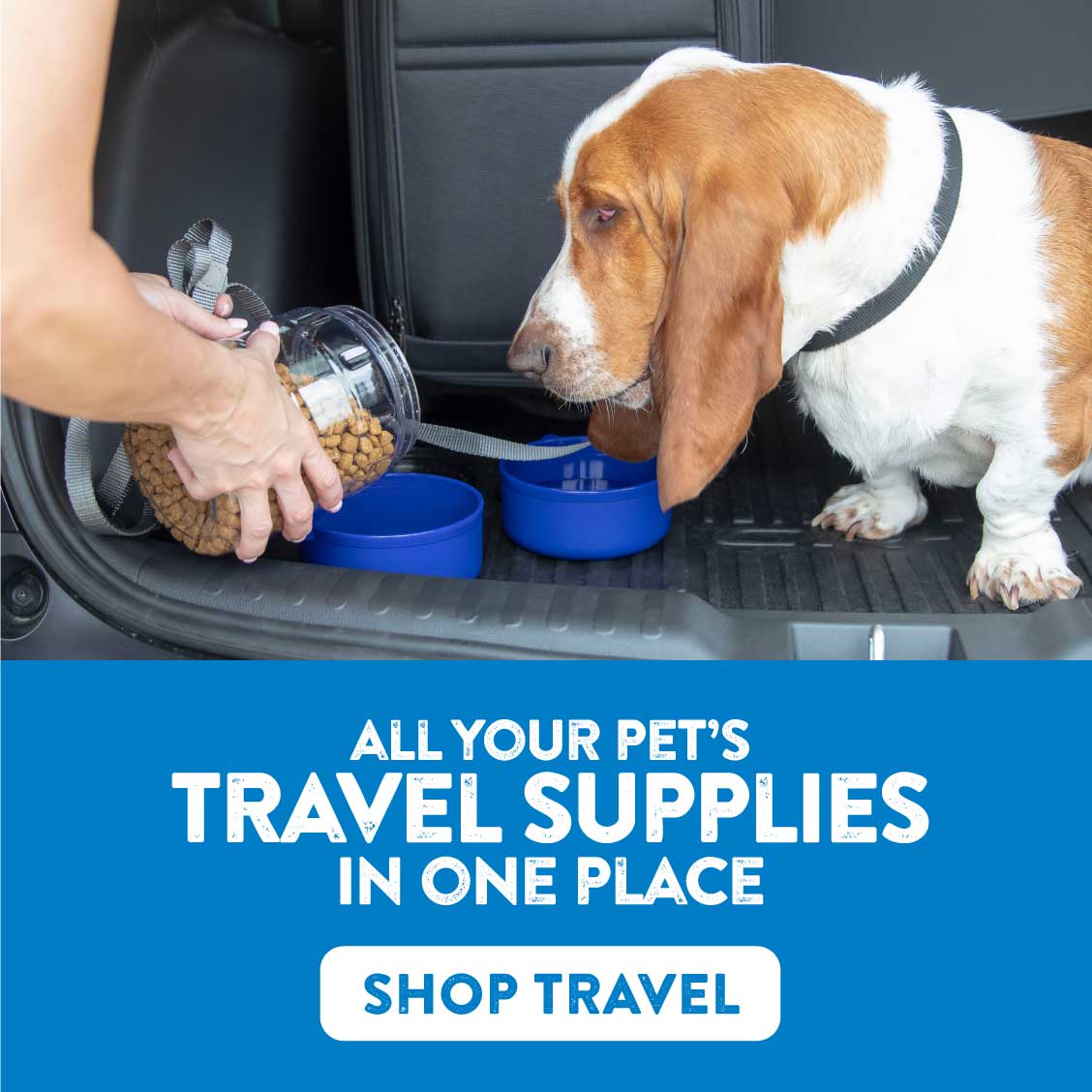 Shop Travel
