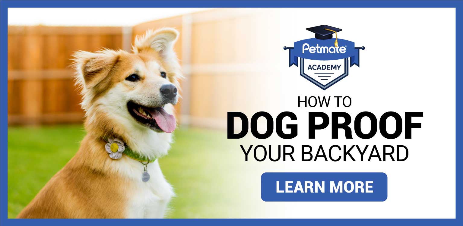 Petmate Academy