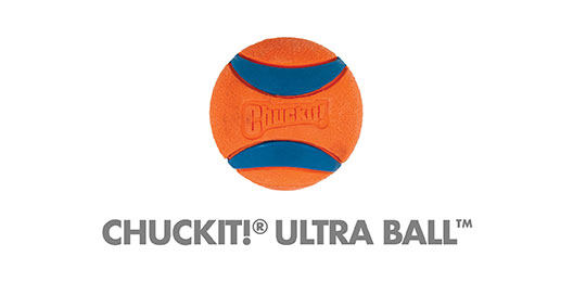 Chuckit! Ultra Ball Dog Toy