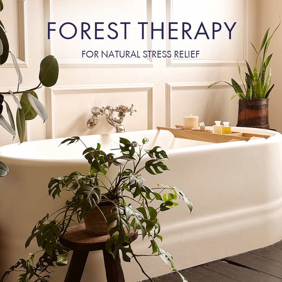 Forest Therapy Natural Stress Relief I Aromatherapy Associates I 2025