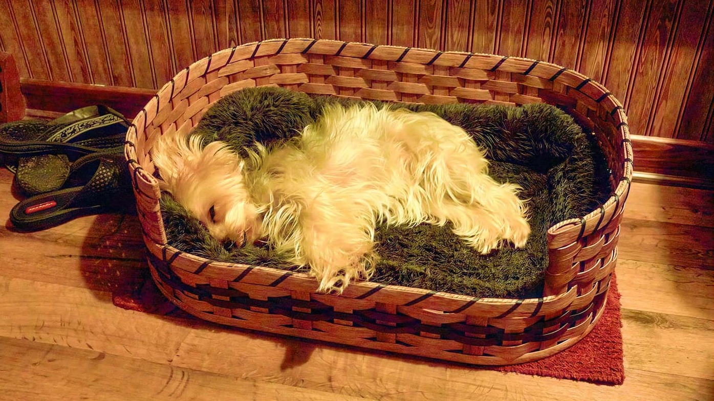 Wicker Pet Beds