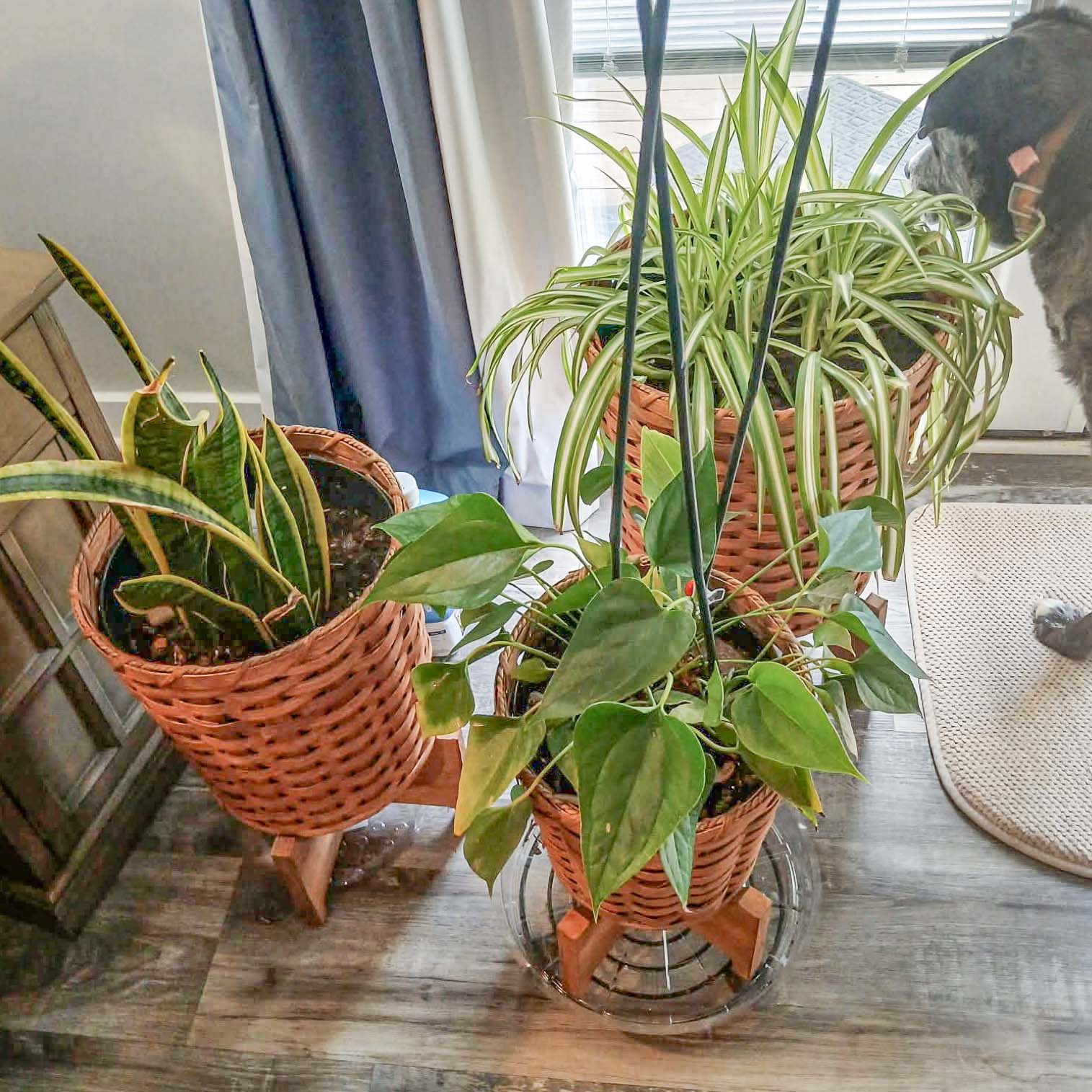 3-Piece Basket Planter Set